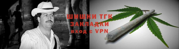 ECSTASY Костерёво