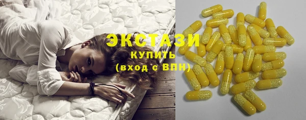 ECSTASY Костерёво