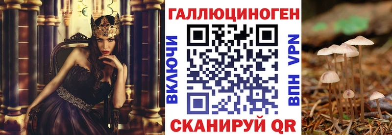 Галлюциногенные грибы Psilocybe  Красновишерск 